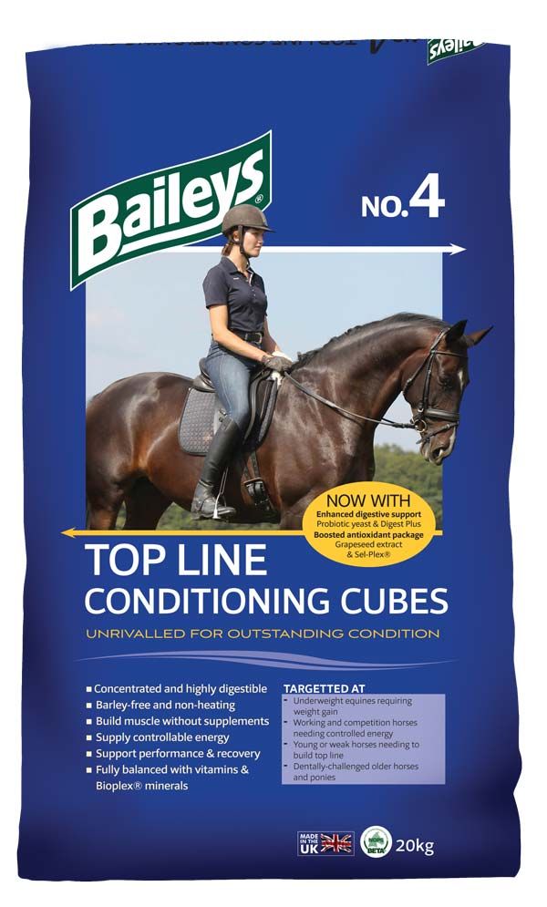 Baileys No. 4 Top Line Conditioning Cubes