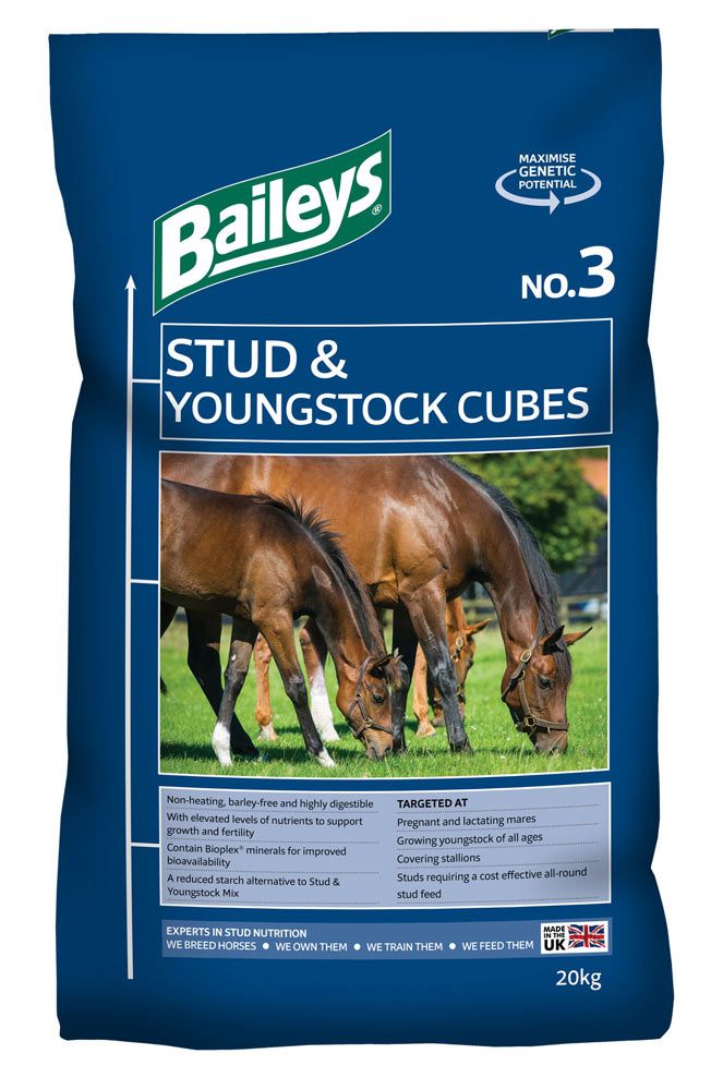Baileys No. 3 Stud & Youngstock Cubes