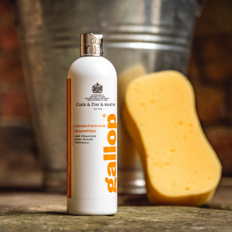 Gallop - Everyday conditioning shampoo