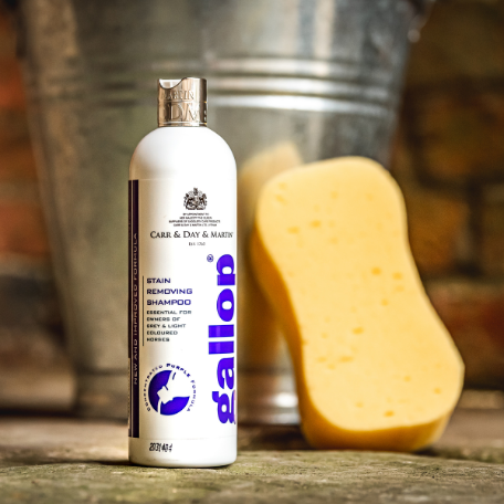 Gallop - Stain removing shampoo