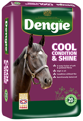 Dengie cool condition & shine