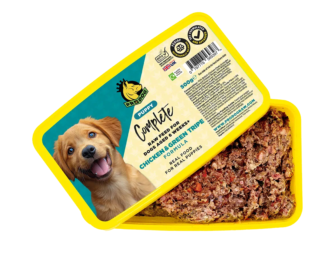 ProDog Puppy Chicken with Green Tripe 500g