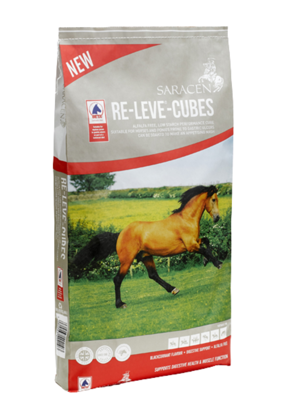 Saracens Re-Leve Cubes