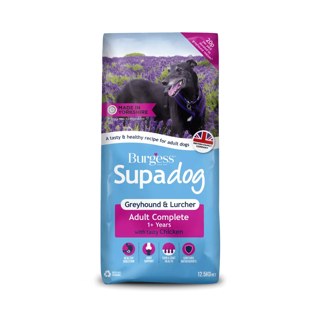 Burgess supadog greyhound/lurcher