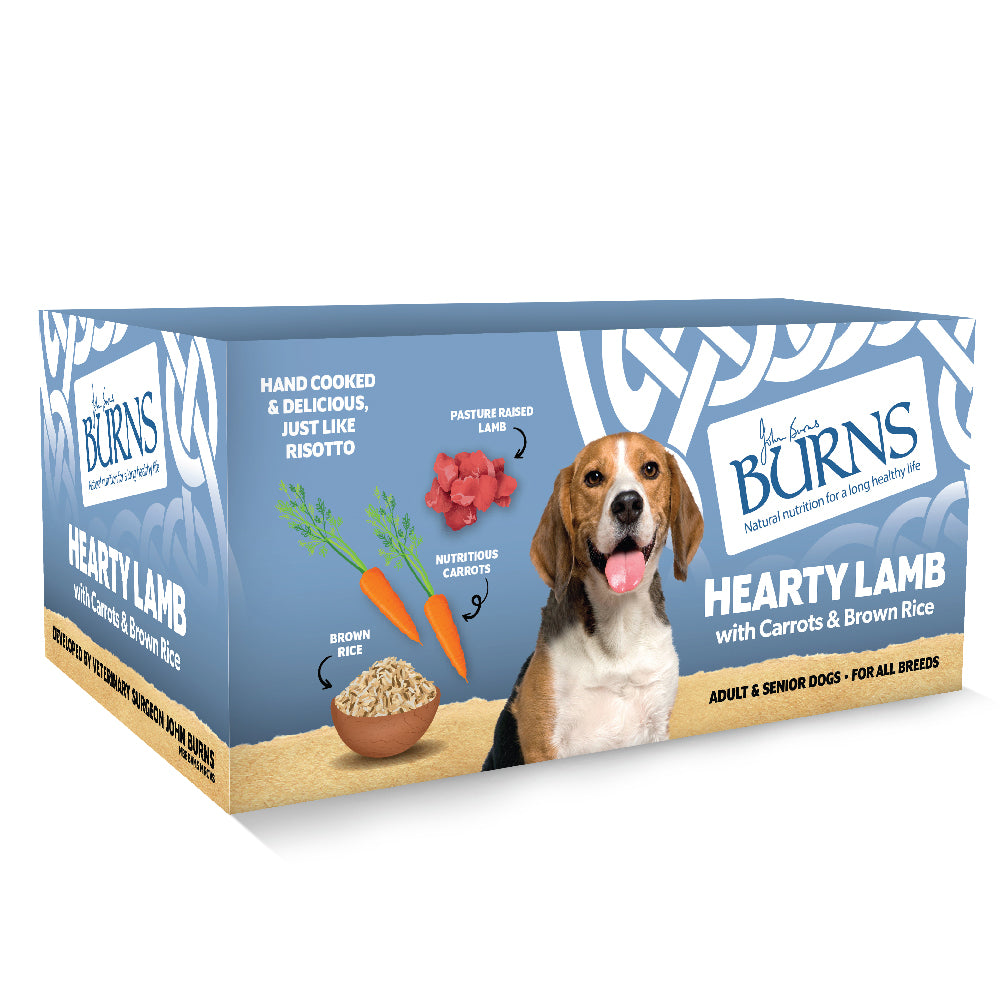 Burns Wet Food Lamb & Brown Rice 1 x 395g