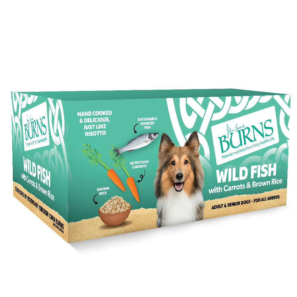 Burns Wet Food Fish & Brown Rice 1 x 395g