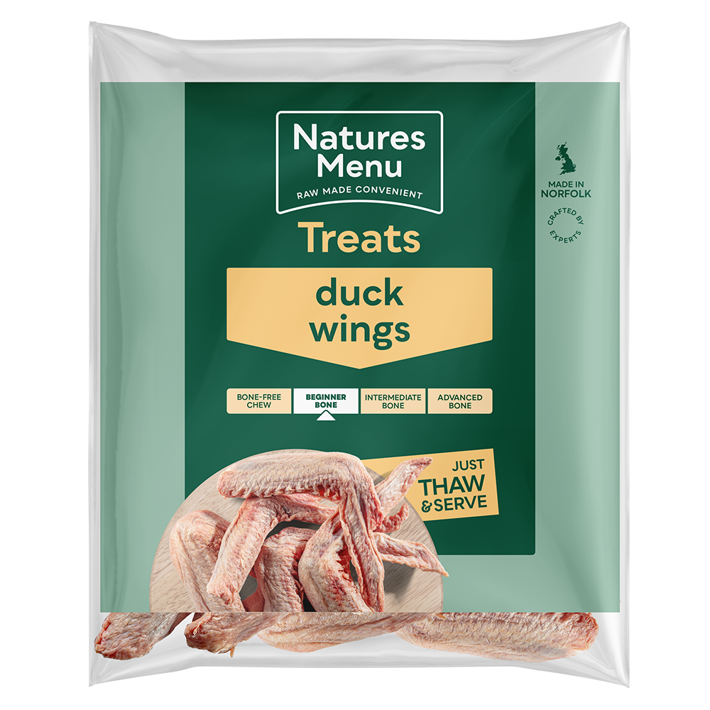 NM Duck Wings
