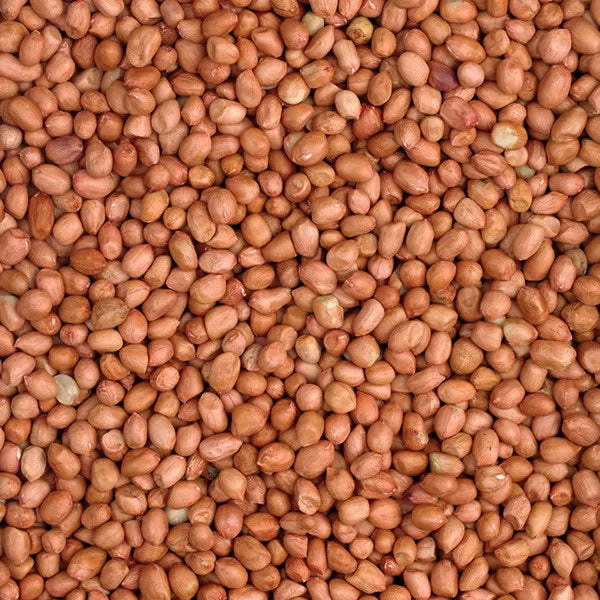 Peanut Kernels 25kg