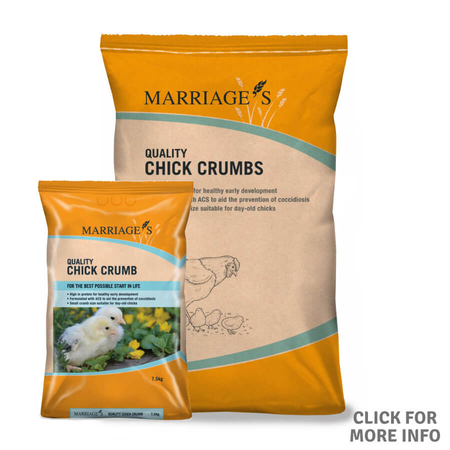 Marriages Chick Crumb with Coccidiostat 20kg