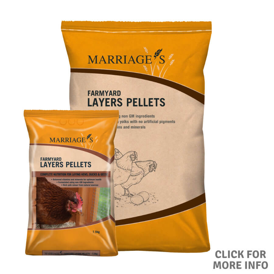 Marriages Farmyard Layer Pellets 20kg