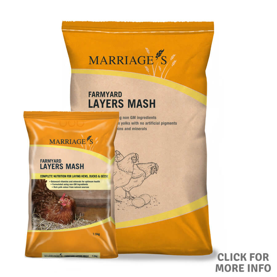 Marriages Layer Mash 20kg