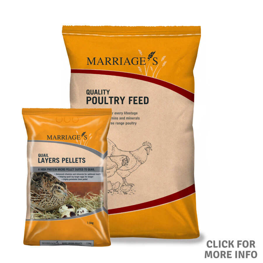 Marriages Quail Pellets 7.5kg