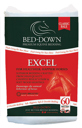 Bed-Down Excel