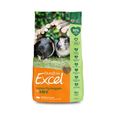 Excel Guinea Pig Nuggets with Mint