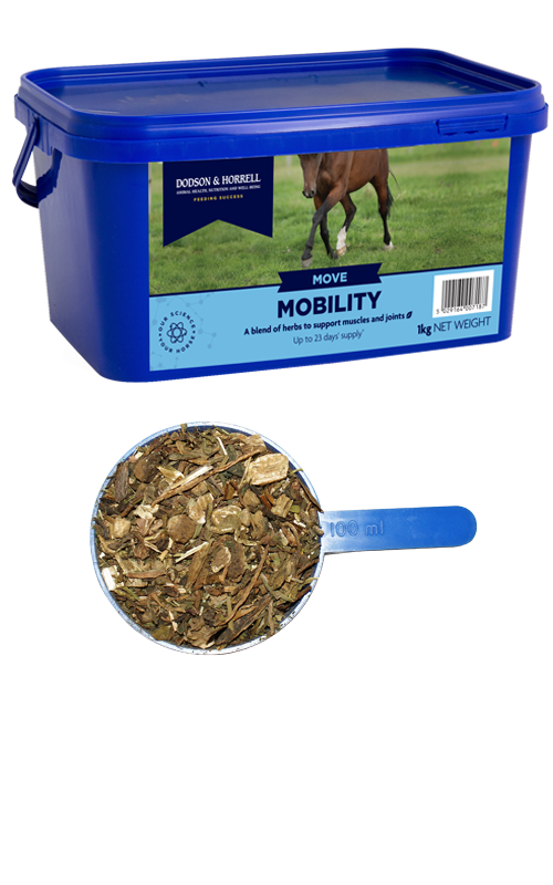 Dodson & Horrell Mobility