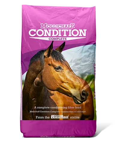 Mollichaff Condition