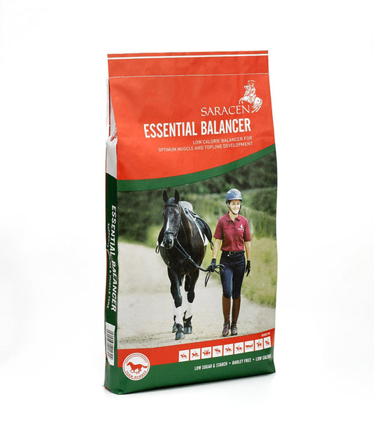 Saracens Essential Balancer