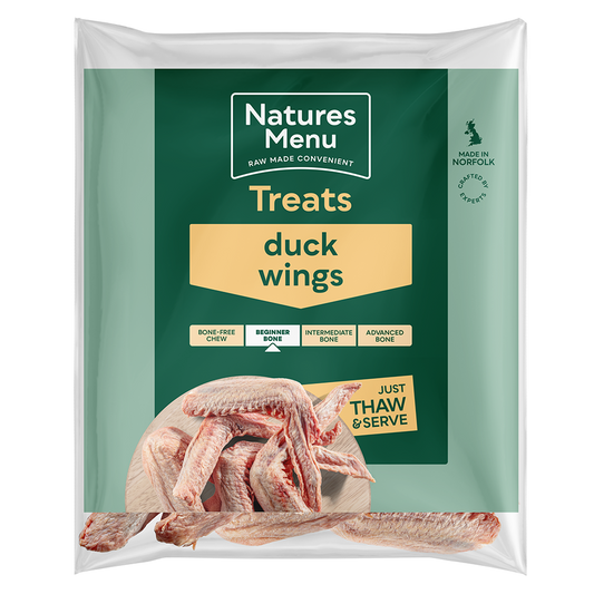 NM Duck Wings
